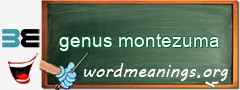 WordMeaning blackboard for genus montezuma